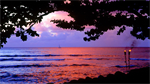 Fond d'écran gratuit de OCEANIE - Hawai numéro 58594